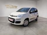 Fiat Panda Young *Org.60Tkm*KLIMA*NAVI*GARANTIE* - Fiat Panda: Young