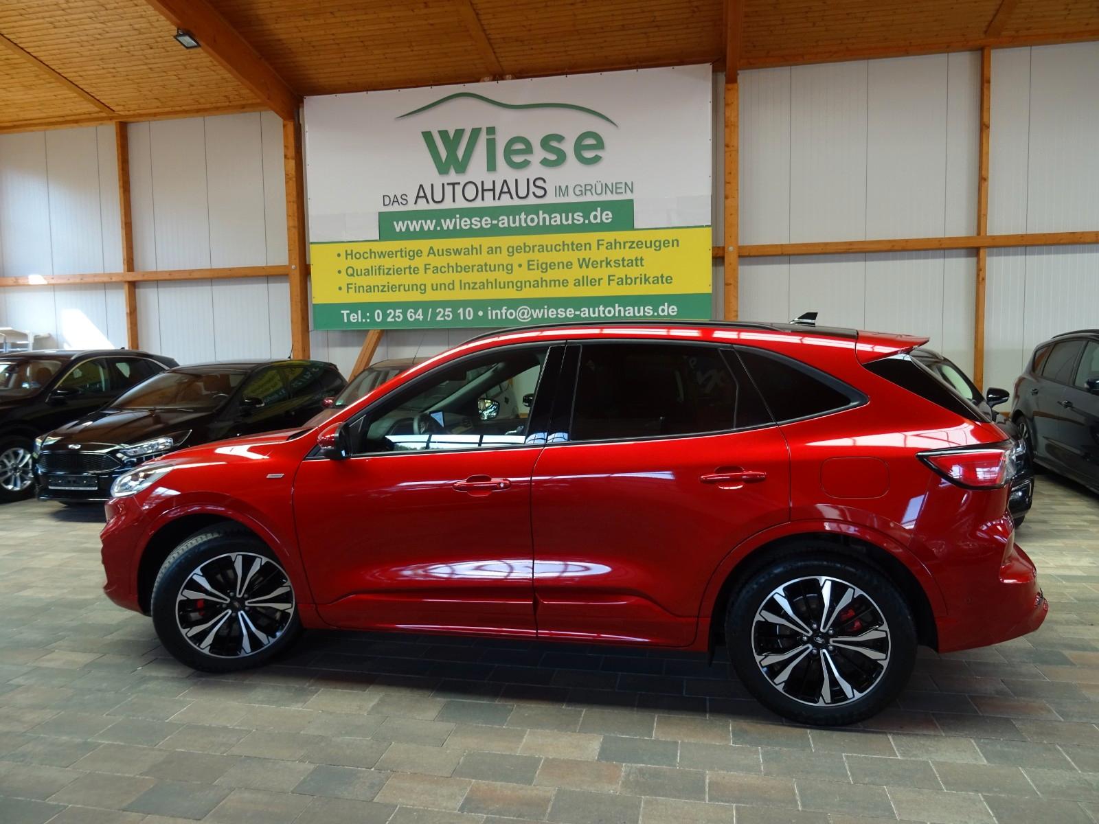 Ford Kuga 2.0 EcoBlue  ST-Line x,2xCam,Pano,AHK,IACC