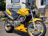 Honda CB600F Hornet  - HONDA 2000 HORNET 600