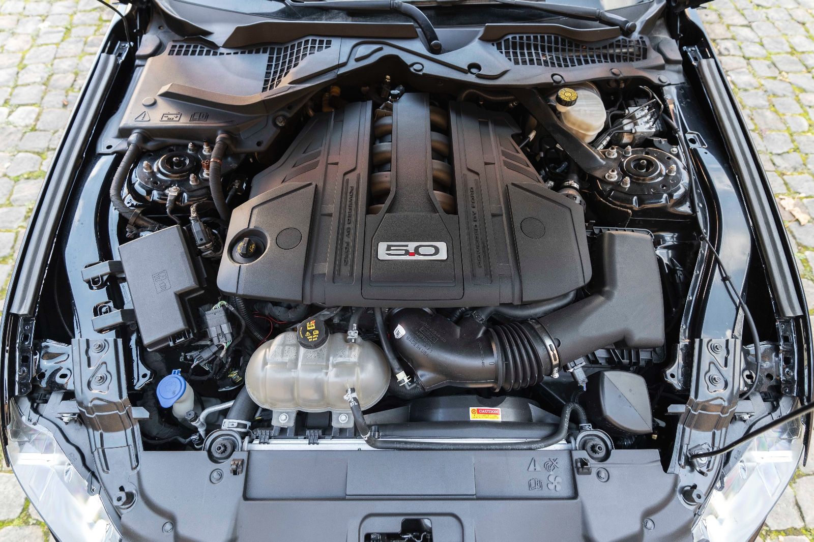 Fahrzeugabbildung Ford Mustang GT 5.0L Kabrio LED KAM NAV SHZ/SZK