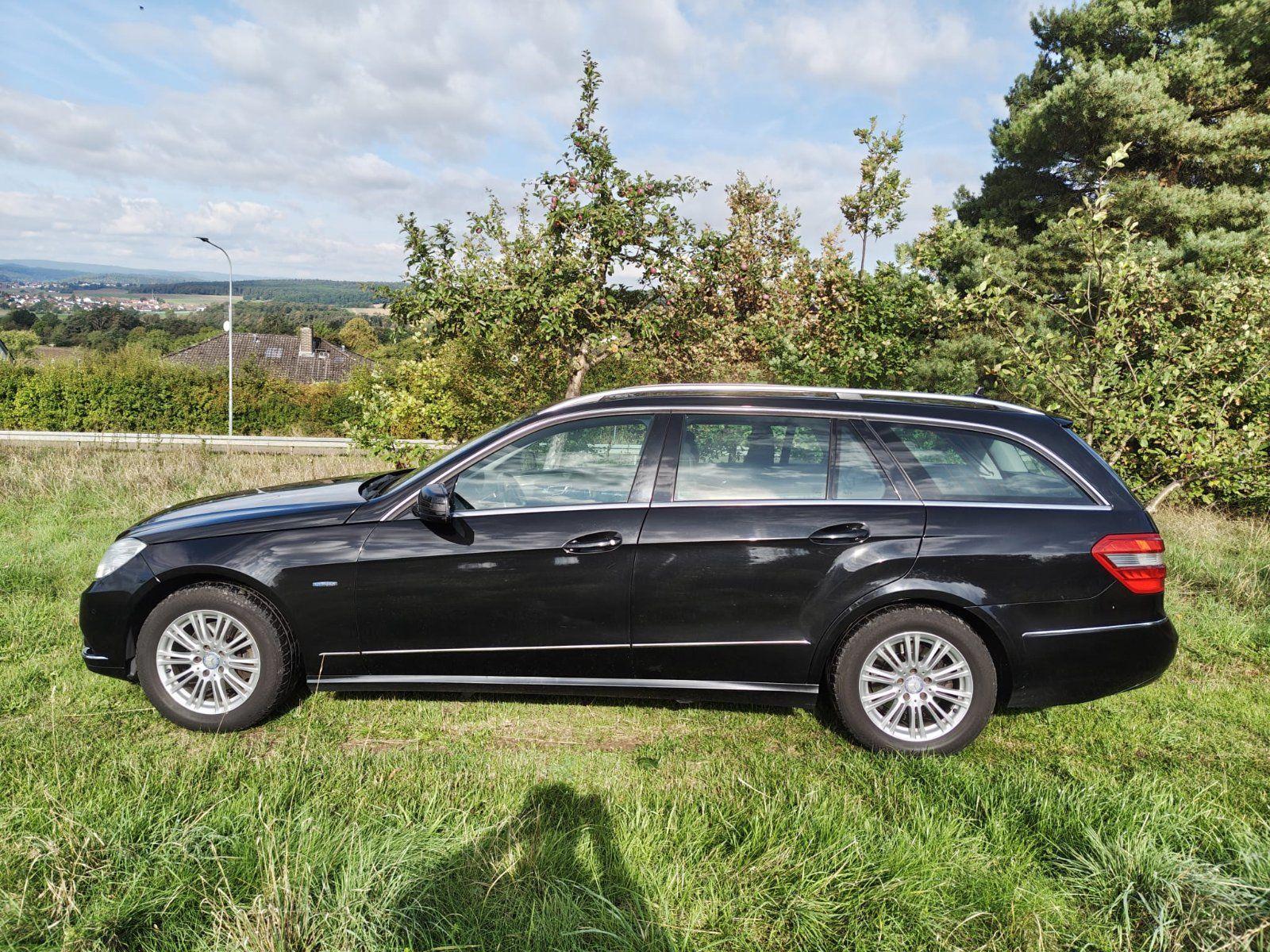 Mercedes-Benz E220 2011 — rear view