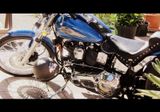 Harley-Davidson Softail, Standard, FXSTC, guter Zustand! - HARLEY-DAVIDSON 1995 SOFTAIL