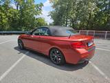 BMW M240i xDrive Cabrio/ACC/Harman/Leder - BMW M240i in Frankfurt (Main)