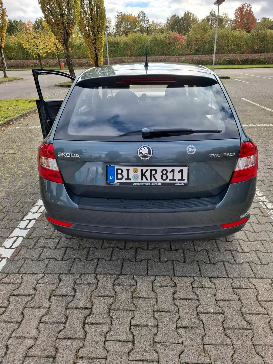 Skoda Rapid 2014 — photo 9