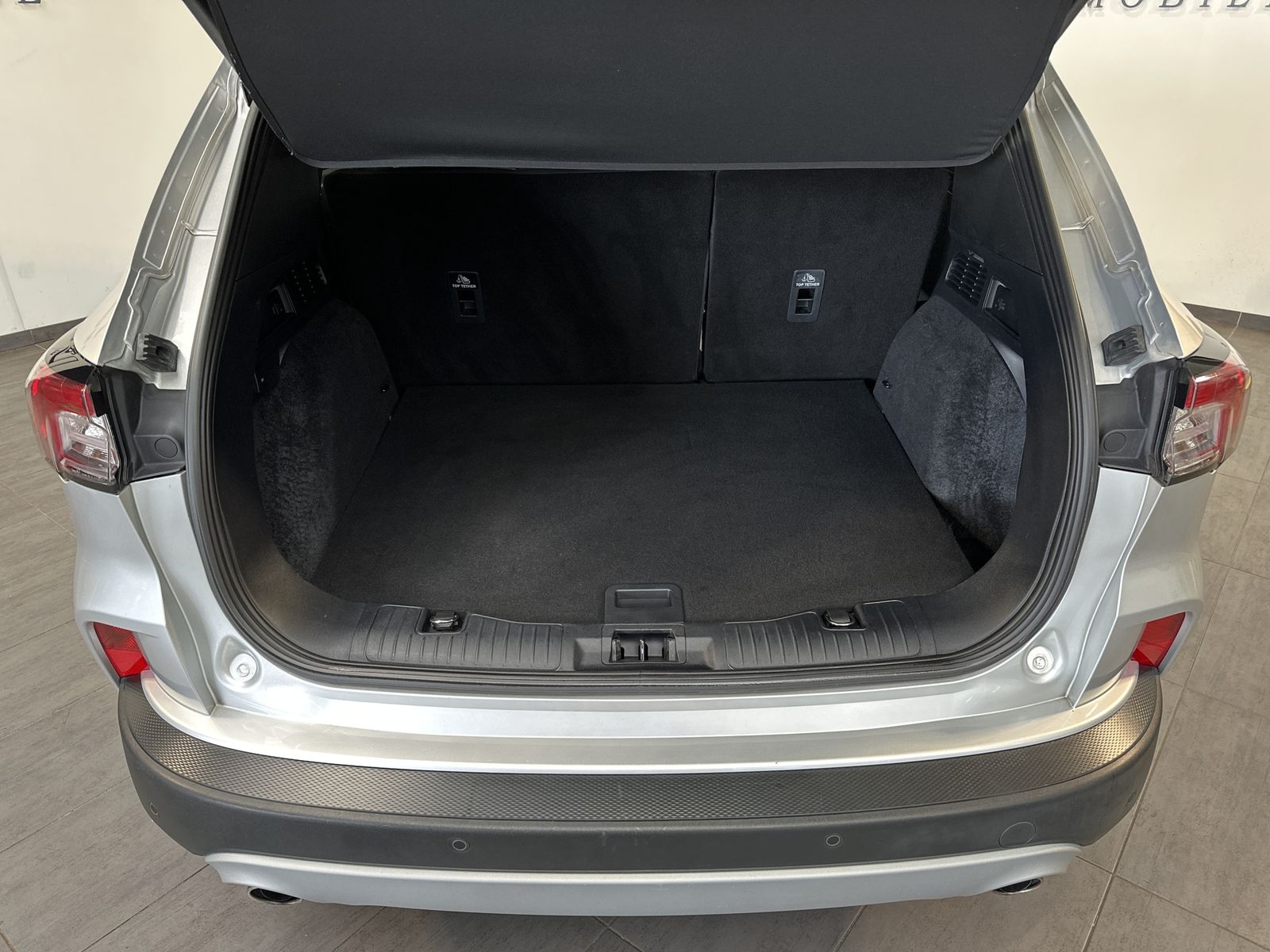 Fahrzeugabbildung Ford Kuga 2.0 EB 4x4 Titanium Aut. NAV+LED+PANO+TEMPO
