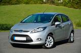 Ford Fiesta 1,25 60kW Trend  - Ford Fiesta aus 2011: 1.6
