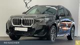 BMW X1 sDrive18i Sportpaket Autom. Parksystem DAB  