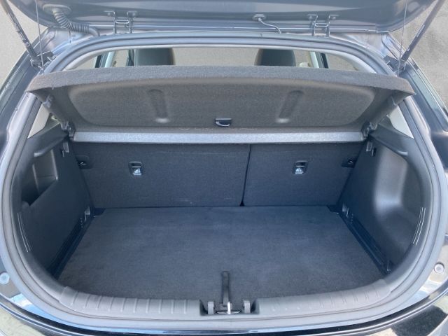 Fahrzeugabbildung Kia Rio VISION 1.0T *NAVIGATIONS-PAKET*LED-PAKET*