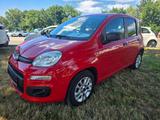 Fiat Panda More  - Fiat Panda Gebrauchtwagen in Stuttgart