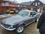 Ford Mustang - Ford Mustang: Limousine