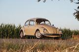 Volkswagen VW Käfer 1969  - Autos aus dem Jahr 1969