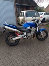 Honda Hornet 900 - Offers matching your search criteria