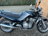 Suzuki Gsx1100G - Angebote