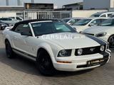 Ford Mustang 4.0 V6 CABRIO LED+AUTOMATIK+LEDER - Ford Mustang in Ludwigshafen