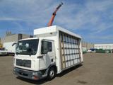 MAN TGL 8.180 + PALFINGER + GLASS TRUCK  + MANUAL - MAN Gl