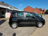 Fiat Panda 1.2 "My Panda" Klima-RD/CD/Blue&Me-elek... - Fiat Gebrauchtwagen in Kiel