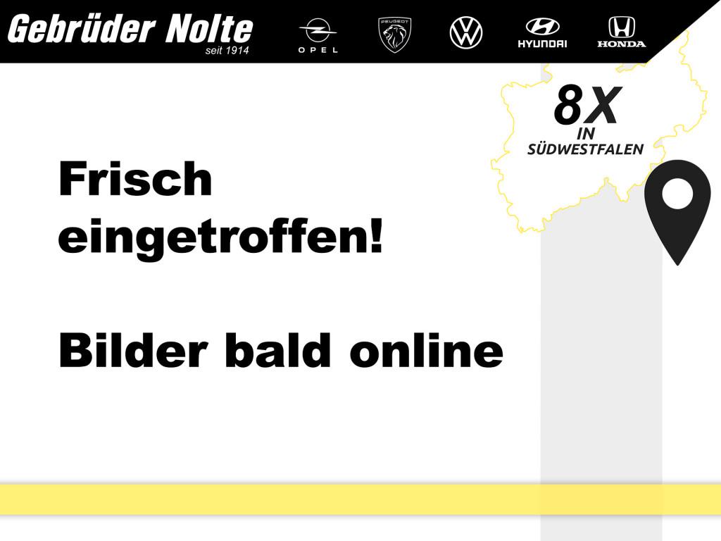 Volkswagen Golf VIII Variant VIII 2.0 TDI Business Paket