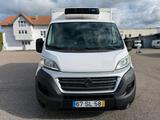 Fiat Ducato Kühlfahrzeug 3,5 T | -20 | Bj... - Kühlfahrzeug gebraucht