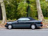 Mercedes-Benz CE300 - 24V Cabrio Sportline - Mercedes-Benz 300: Ce 24