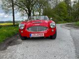 Austin Healey Andere - aus 1958 mit Benzin-Antrieb: Cabrio