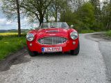 Austin Healey Andere - Austin Healey: Roadster