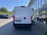 Opel Movano-e L3H2 (70-kWh) Edit. - Opel Kastenwagen hoch + lang 3 l movano