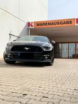 Ford Mustang 5.0 Ti-VCT V8 GT Auto GT - TÜ... - Ford Mustang Gebrauchtwagen in Dresden