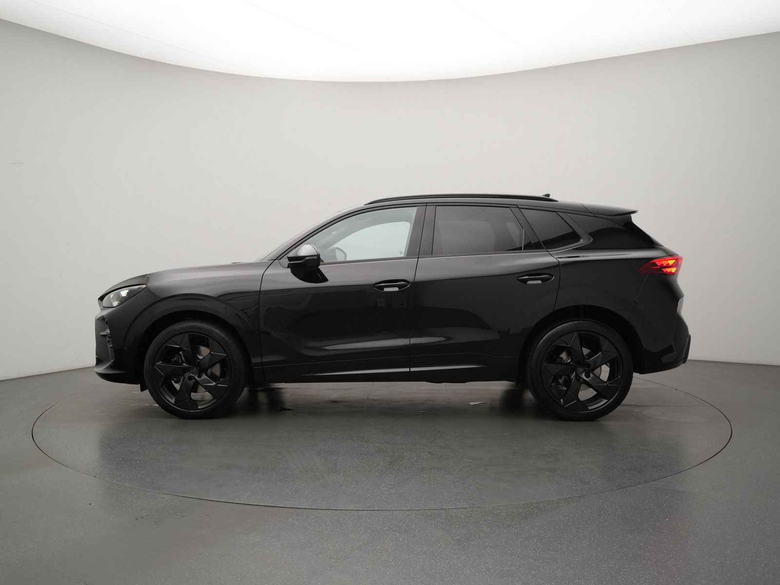 Cupra Terramar - Bild 24