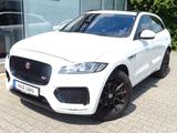 Jaguar F-Pace  R-Sport AWD AMBIENTEBEL. KAMERA 20"ZOLL - Jaguar F-PACE R-Sport mit Benzin-Antrieb