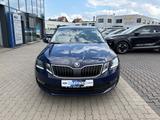 Skoda Octavia Drive TotWinkAss Allwetter AppleCarPlay  - Skoda Octavia mit Benzin-Antrieb: Limousine, Automatik