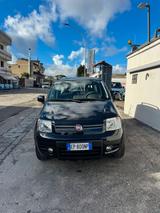 Fiat Panda II 2003 1.2 Climbing 4x4 69cv E5 - Fiat Panda Climbing mit Benzin-Antrieb