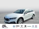 Skoda Octavia Combi 2.0 TSI 4x4 DSG Scout Anhängerkupp - Skoda Octavia Scout mit Benzin-Antrieb
