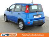 Fiat Panda 1.0 Mild-Hybrid Pandina Cross*TEMPO*PDC* - Fiat Panda: Pandina