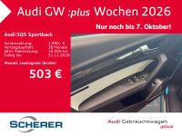 Audi SQ5 - Vorschau Bild 14