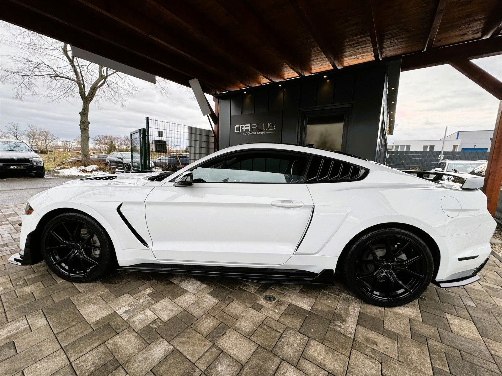 Fahrzeugabbildung Ford Mustang Shelby 500 GT Sport Coupe Performance