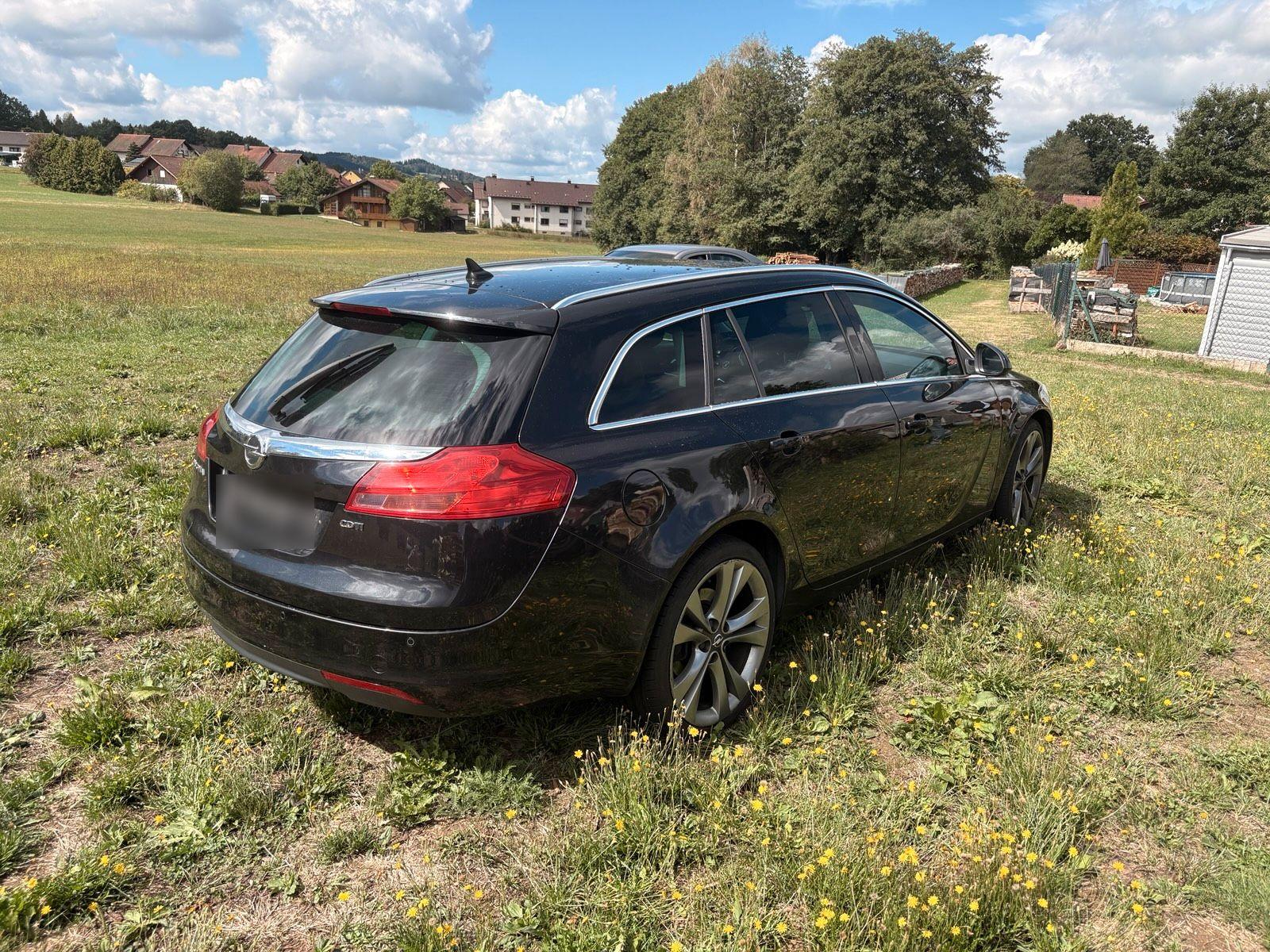 Opel Insignia 2010 — photo 10