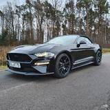Ford Mustang 5.0 Ti-VCT V8 GT Auto GT  - Ford Mustang Gebrauchtwagen in Bielefeld