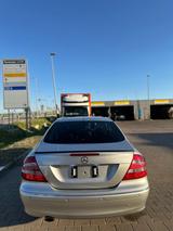 Mercedes-Benz CLK 240 AVANTGARDE Avantgarde - gebrauchte Mercedes-Benz CLK 240 aus dem Jahr 2002