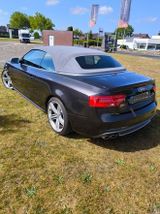 Audi S5 3.0 TFSI S tronic quattro Cabriolet - - Audi S5: 3.0