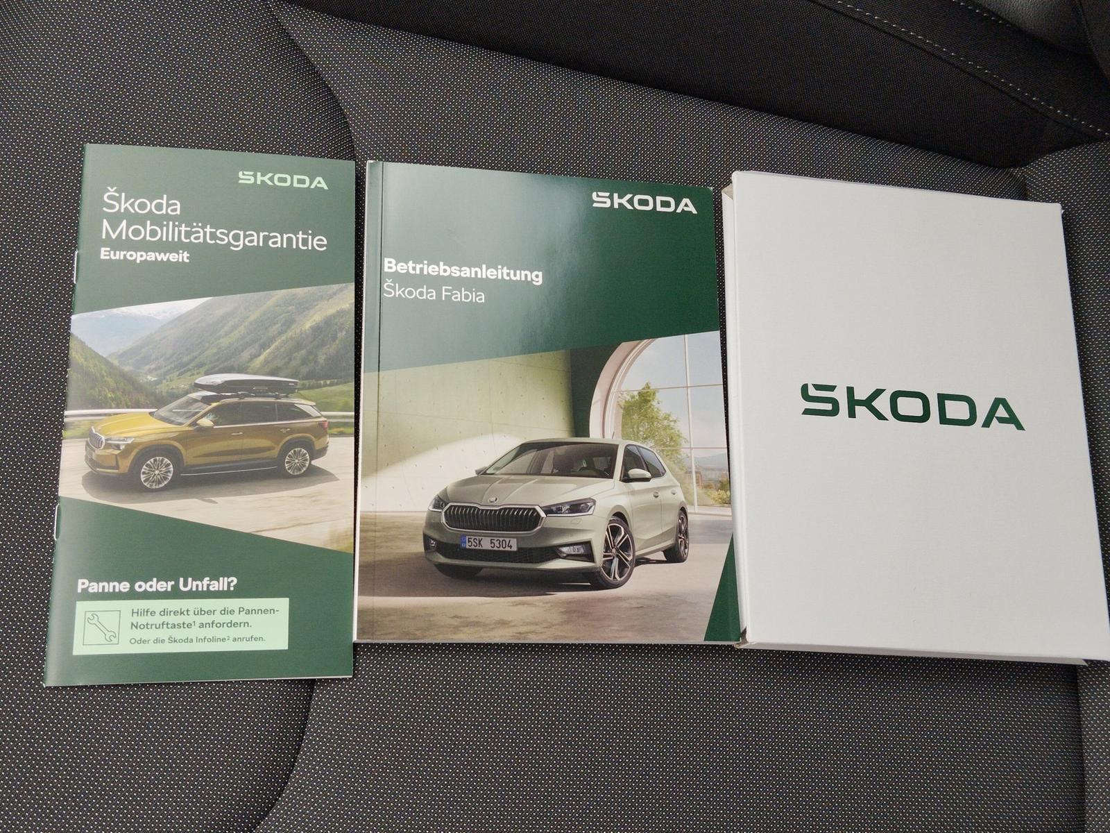 Skoda Fabia 1.0 TSI Balance DSG AUT*Fernlichtass.*Kam., миниатюра 30