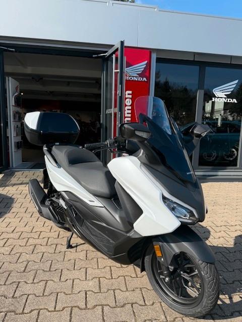 Honda Forza 125 Vorführer