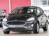 Ford Fiesta 1.0 AUTOMATiK 5.TÜRiG *NAVi*KLiMA*WiNTER*