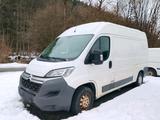 Citroën Citroen Jumper Kühlwagen 2.0 Euro 6 Tel.: ... - Citroën Jumper aus 2016 mit Diesel-Antrieb: Kleinbus