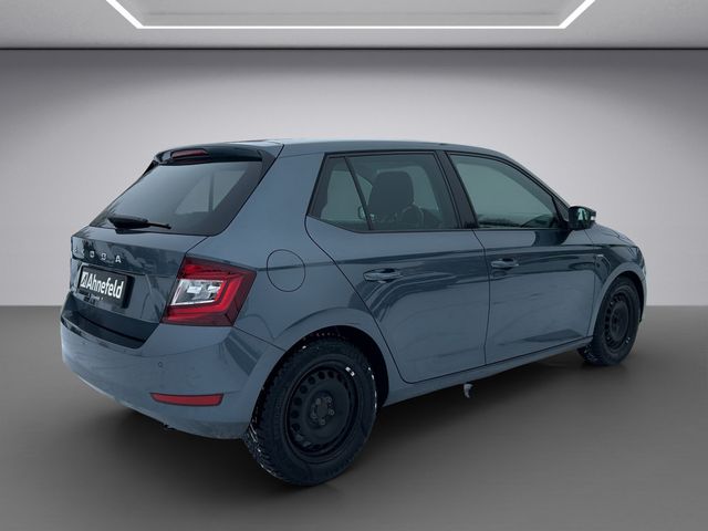 Fabia Clever Best of