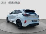 Ford Puma ST X - Track Pack, Pano, voll - Ford: ST