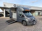 Peugeot Boxer MSG Pferdetransporter Hengstausstattung - 4x4