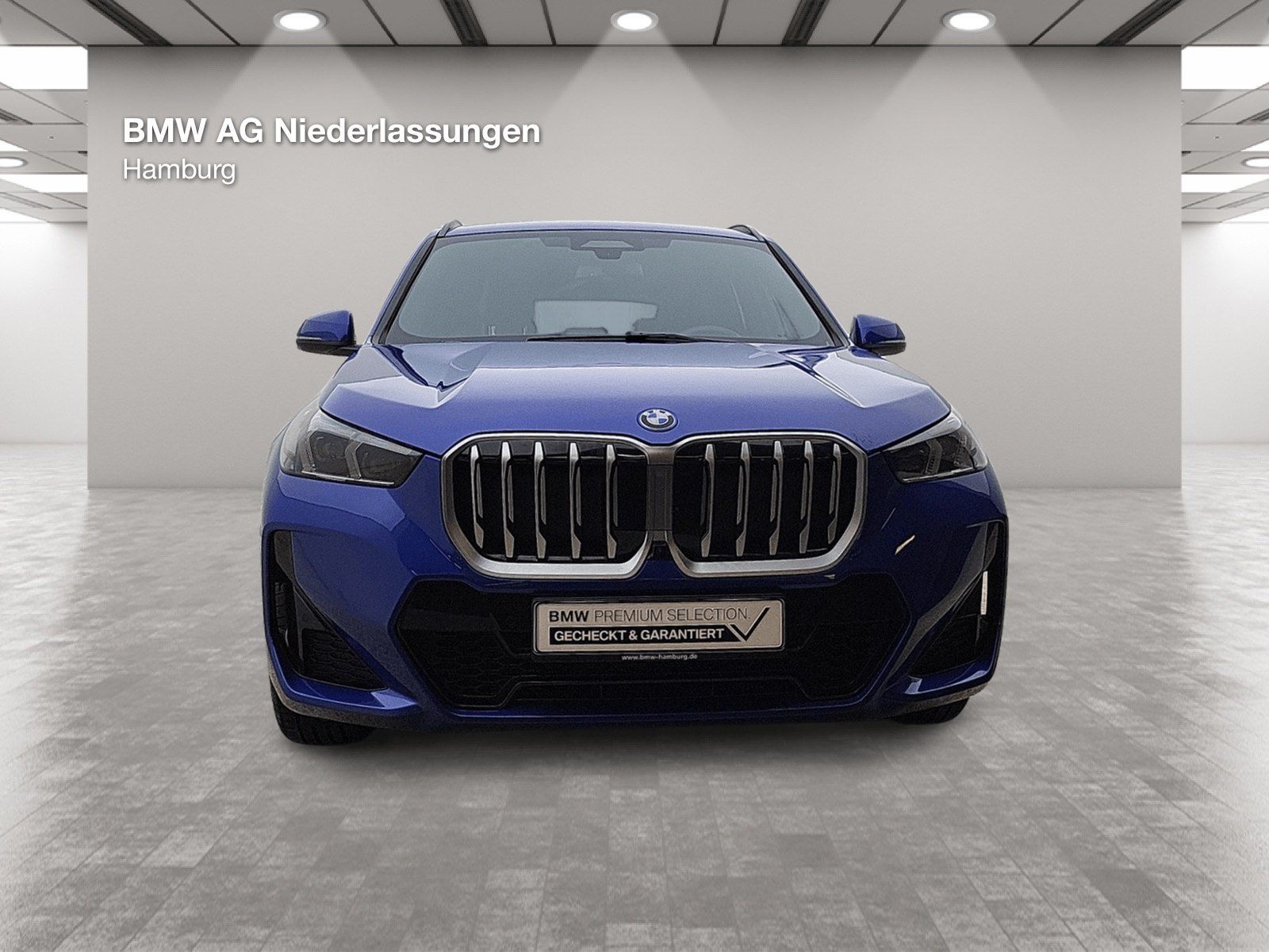 BMW X1 xDrive30e M Sport AHK Driv.Assist.Prof LED foto 10