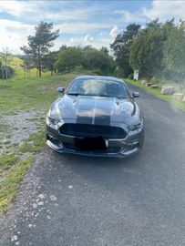 Ford Mustang - 4