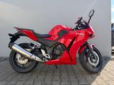 Honda CBR300R - wenig gelaufen & sehr guter Zustand - HONDA 300