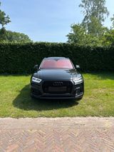 Audi SQ5 3.0 TFSI tiptronic quattro - - Audi SQ5 mit Benzin-Antrieb